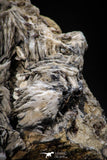 06862 - Top Beautiful 5.66 Inch Barite Crystals - Mibladen Mining District, Morocco