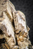 07617 -  Beautiful Orthoclase (Feldspar) Crystals from High Atlas Mountains, Morocco