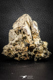 07617 -  Beautiful Orthoclase (Feldspar) Crystals from High Atlas Mountains, Morocco