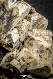 07617 -  Beautiful Orthoclase (Feldspar) Crystals from High Atlas Mountains, Morocco