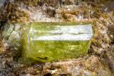 07618 -  Lustrous Yellow Green Apatite Crystal on Calcite Matrix - Imilchil (Morocco)