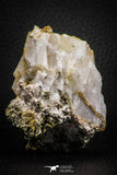 07618 -  Lustrous Yellow Green Apatite Crystal on Calcite Matrix - Imilchil (Morocco)