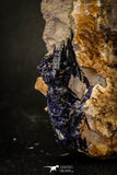 07619 - Beautiful Deep Blue Azurite Crystals on Carbonate Matrix - Kerrouchen (Morocco)