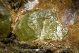 07621 -  Lustrous Yellow Green Apatite Crystals on Brecciated Matrix - Imilchil (Morocco)