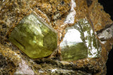 07621 -  Lustrous Yellow Green Apatite Crystals on Brecciated Matrix - Imilchil (Morocco)