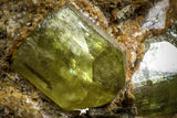 07621 -  Lustrous Yellow Green Apatite Crystals on Brecciated Matrix - Imilchil (Morocco)