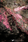 07626 -  Nice Pink Erythrite Crystals on Matrix - Bou Azzer Mine (South Morocco)