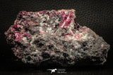 07628 -  Nice Pink Erythrite Crystals with Quartz - Bou Azzer Mine (South Morocco)