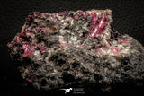 07628 -  Nice Pink Erythrite Crystals with Quartz - Bou Azzer Mine (South Morocco)