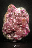 07633 -  Pink Cobaltoan Calcite Crystals on Matrix - Bou Azzer Mine (South Morocco)