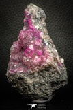 07634 -  Pink Cobaltoan Calcite Crystals on Matrix - Bou Azzer Mine (South Morocco)