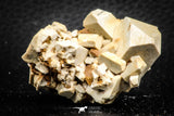 07635 -  Beautiful Orthoclase (Feldspar) Crystals from High Atlas Mountains, Morocco