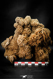 07939 - Top Beautiful 6.61 Inch Desert Rose (Selenite) - Sahara Desert