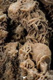 07939 - Top Beautiful 6.61 Inch Desert Rose (Selenite) - Sahara Desert