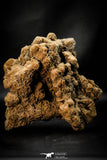 07939 - Top Beautiful 6.61 Inch Desert Rose (Selenite) - Sahara Desert