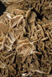 07941 - Top Beautiful 7.76 Inch Desert Rose (Selenite) - Sahara Desert