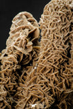 07941 - Top Beautiful 7.76 Inch Desert Rose (Selenite) - Sahara Desert