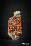 88134 -  Beautiful Red Vanadinite Crystals on Natural Manganese-Iron Oxide Matrix from Morocco