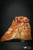 88133 -  Beautiful Red Vanadinite Crystals on Natural Manganese-Iron Oxide Matrix from Morocco