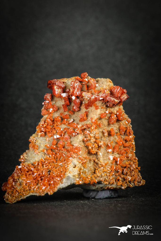 88133 -  Beautiful Red Vanadinite Crystals on Natural Manganese-Iron Oxide Matrix from Morocco