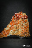 88133 -  Beautiful Red Vanadinite Crystals on Natural Manganese-Iron Oxide Matrix from Morocco