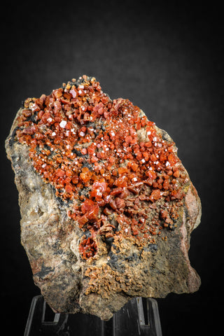 88132 -  Beautiful Red Vanadinite Crystals on Natural Manganese-Iron Oxide Matrix from Morocco