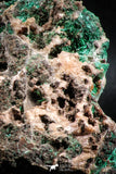 04990 -  Well Crystallized Acicular Brochantite with Quartz from South Morocco
