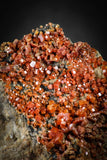 88132 -  Beautiful Red Vanadinite Crystals on Natural Manganese-Iron Oxide Matrix from Morocco