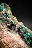04990 -  Well Crystallized Acicular Brochantite with Quartz from South Morocco