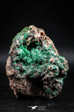 04990 -  Well Crystallized Acicular Brochantite with Quartz from South Morocco
