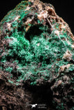04990 -  Well Crystallized Acicular Brochantite with Quartz from South Morocco