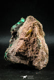 04990 -  Well Crystallized Acicular Brochantite with Quartz from South Morocco