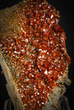 88130 -  Beautiful Red Vanadinite Crystals on Natural Manganese-Iron Oxide Matrix from Morocco