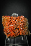 88129 -  Beautiful Red Vanadinite Crystals on Natural Manganese-Iron Oxide Matrix from Morocco