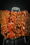 88129 -  Beautiful Red Vanadinite Crystals on Natural Manganese-Iron Oxide Matrix from Morocco