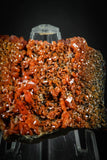 88129 -  Beautiful Red Vanadinite Crystals on Natural Manganese-Iron Oxide Matrix from Morocco