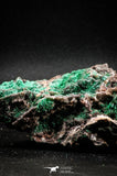 04991 -  Well Crystallized Acicular Brochantite with Quartz from South Morocco