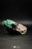 04991 -  Well Crystallized Acicular Brochantite with Quartz from South Morocco