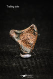 04992 - Agoudal Imilchil Iron IIAB Meteorite <1g ORIENTED Collector Grade