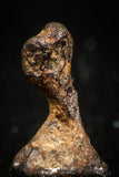 04993 - Agoudal Imilchil Iron IIAB Meteorite <1g Collector Grade