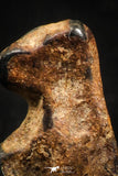 04994 - Agoudal Imilchil Iron IIAB Meteorite <1g Collector Grade