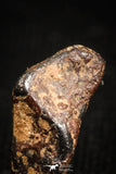 04995 - Agoudal Imilchil Iron IIAB Meteorite <1g Collector Grade