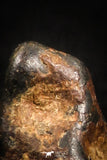 04996 - Agoudal Imilchil Iron IIAB Meteorite <1g Collector Grade