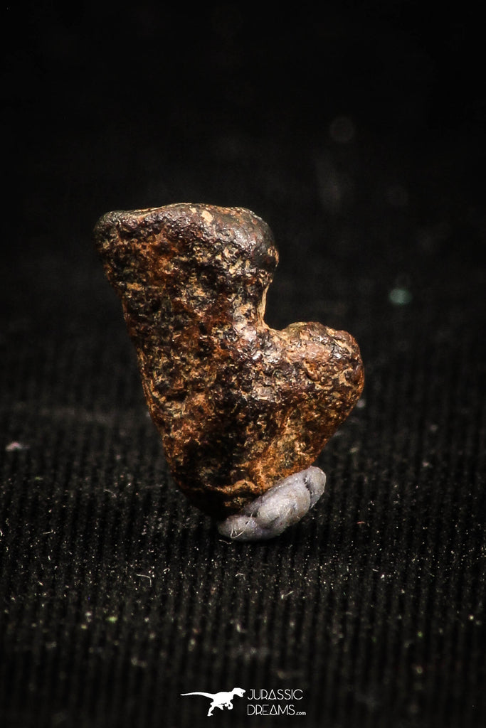 04997 - Agoudal Imilchil Iron IIAB Meteorite <1g Collector Grade
