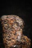 04997 - Agoudal Imilchil Iron IIAB Meteorite <1g Collector Grade
