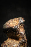04997 - Agoudal Imilchil Iron IIAB Meteorite <1g Collector Grade