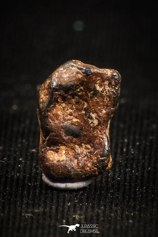 04998 - Agoudal Imilchil Iron IIAB Meteorite <1g Collector Grade