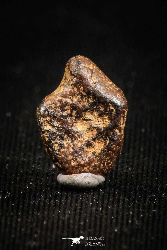 04999 - Agoudal Imilchil Iron IIAB Meteorite <1g Collector Grade