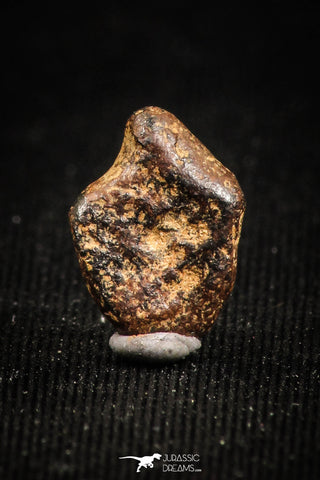 04999 - Agoudal Imilchil Iron IIAB Meteorite <1g Collector Grade