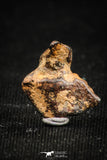 05000 - Agoudal Imilchil Iron IIAB Meteorite <1g Collector Grade